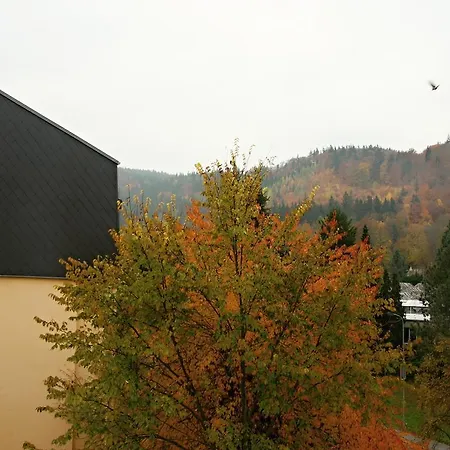 Gagarinova